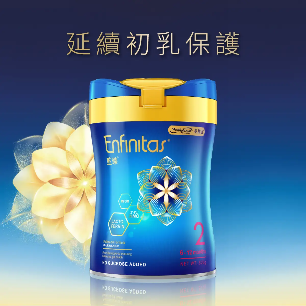 ^ENFINITAS 藍臻2號