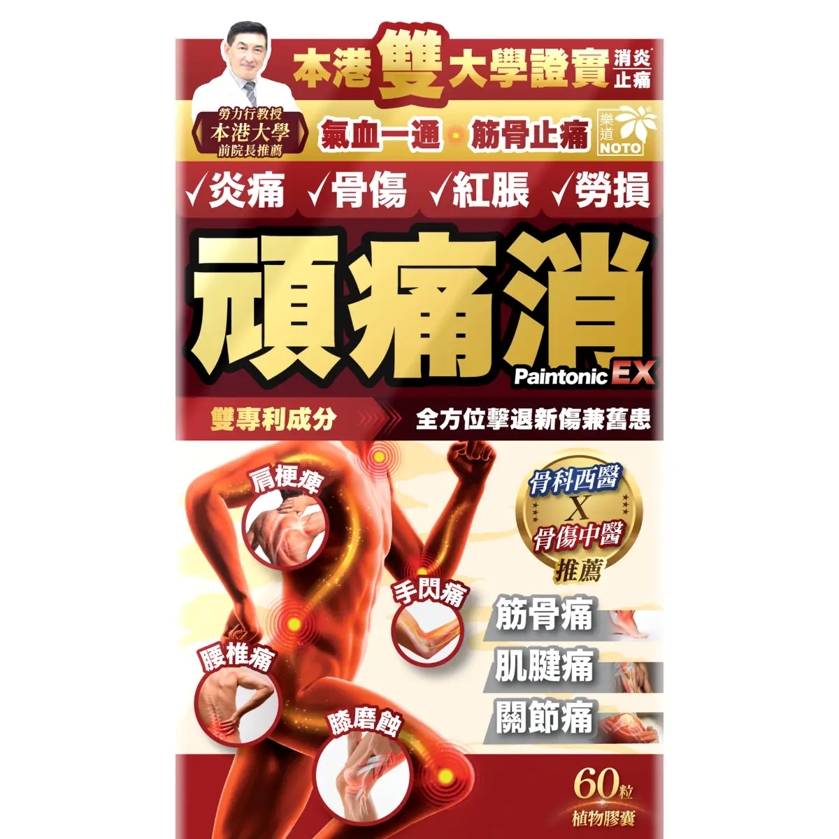 Noto Paintonic EX 60 Capsules
