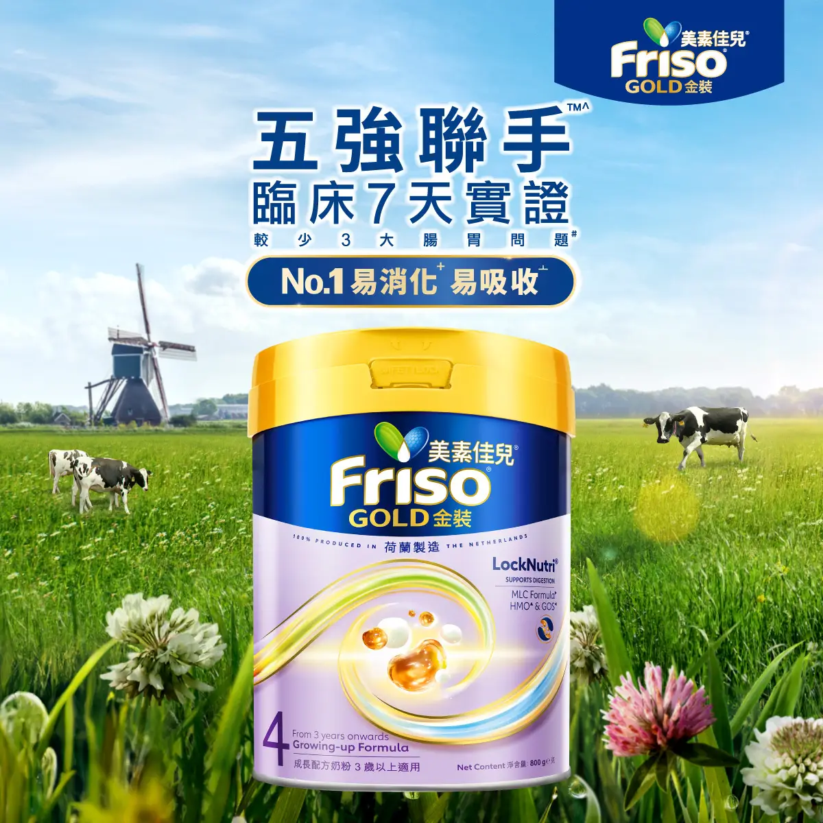 Friso Gold Stage 4 800g(Eugene Baby Expo Only)