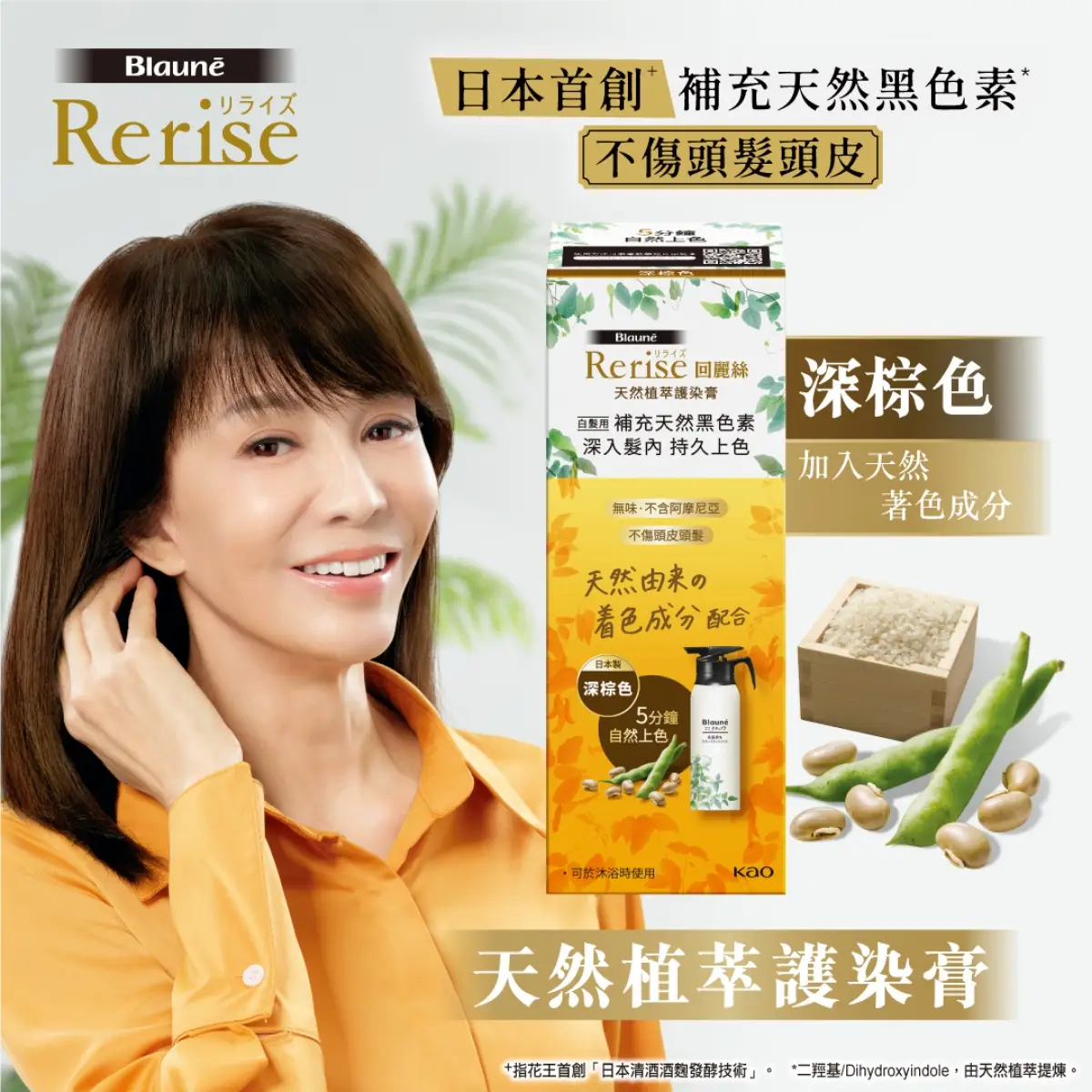 Rerise Hair Colour Treatment (Dark Brown) 155g (Old/New Package Random Delivery)