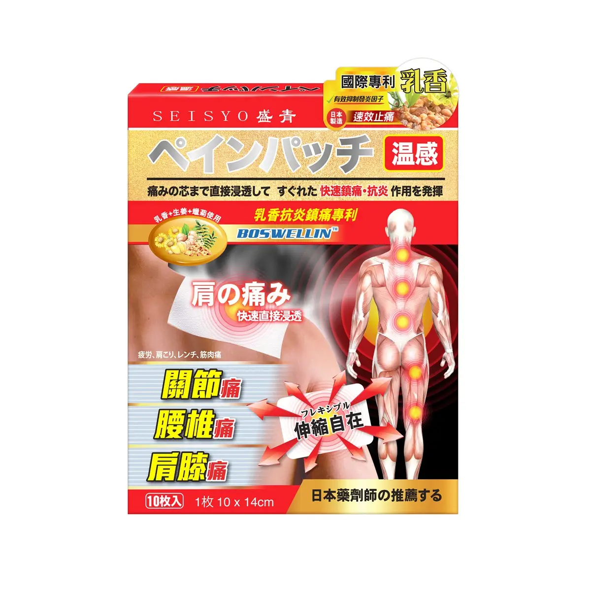 Seisyo Pain Relief Warm Patch 10pcs