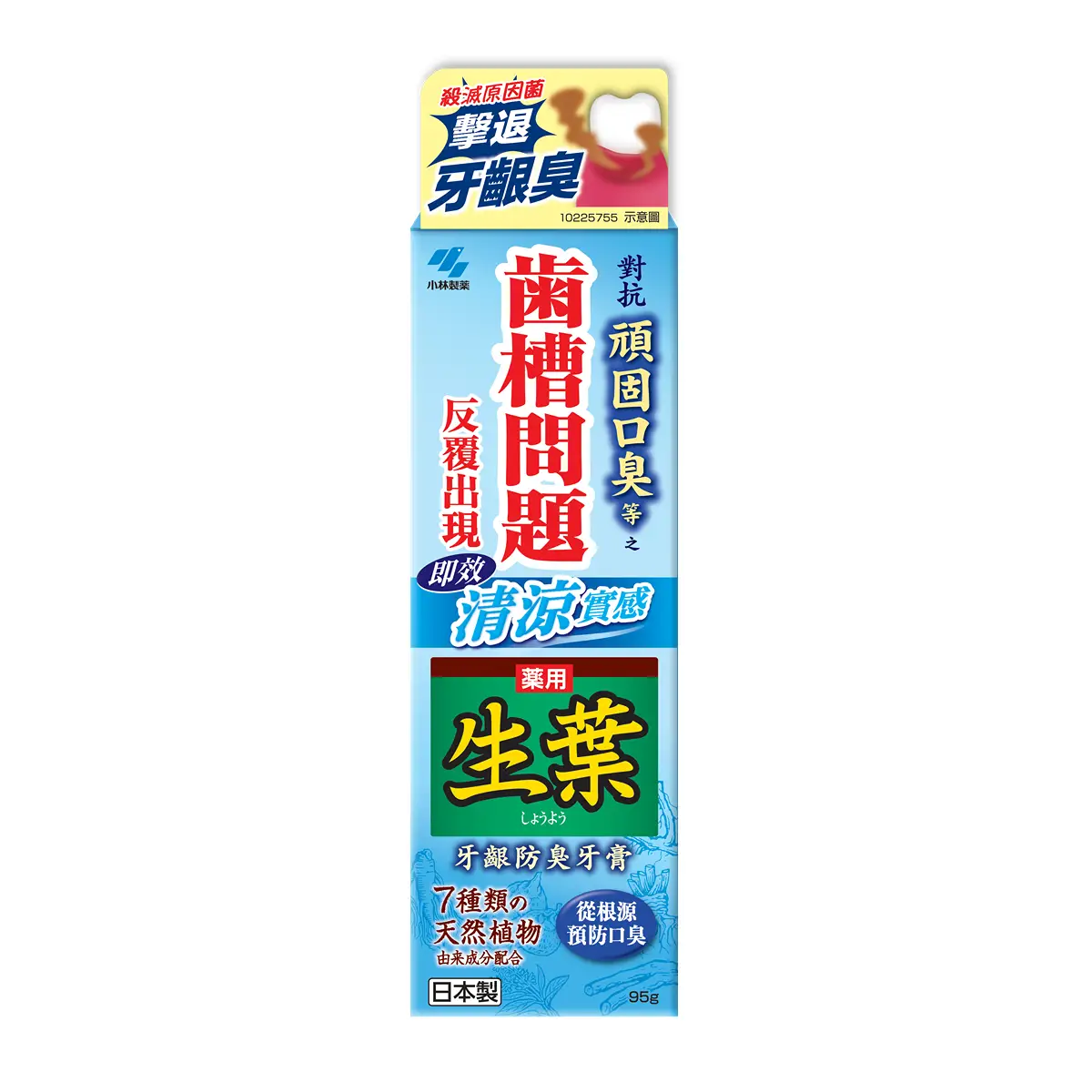 Kobayashi Shoyo Odor Preventing Toothpaste 95g