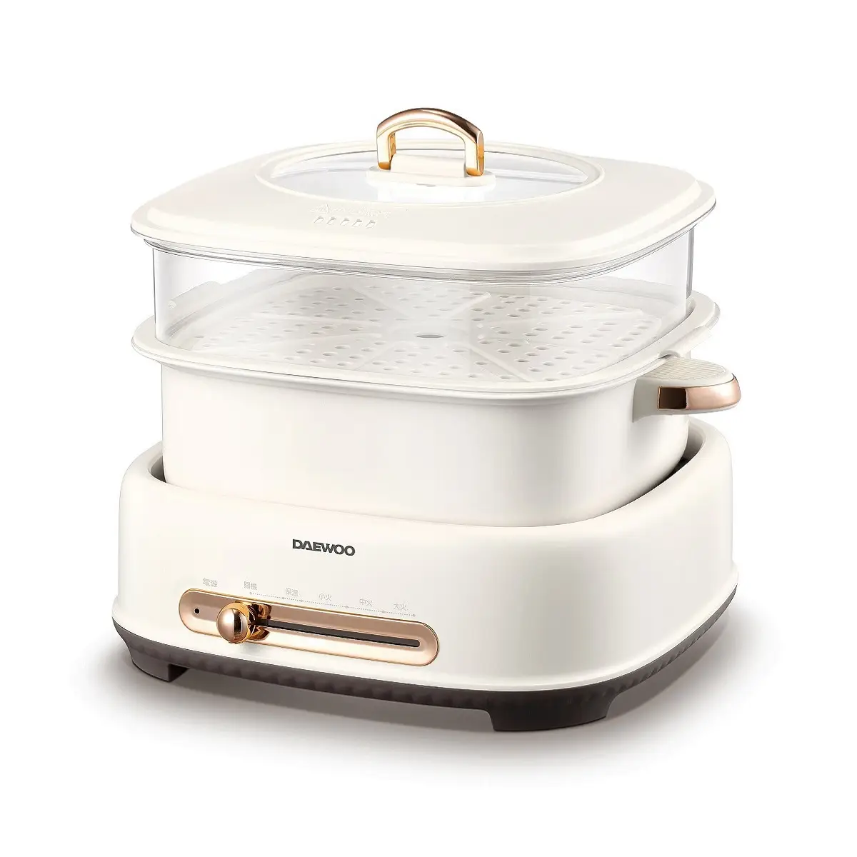 Daewoo DYZG-5030 Multi Cooker-F (Eugene Baby Expo Only)