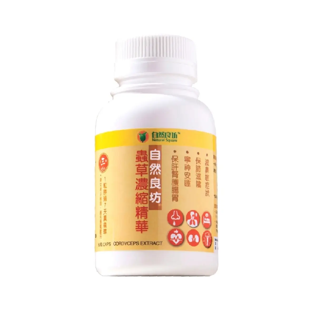 Natural Square Cordyceps Extract 60pcs