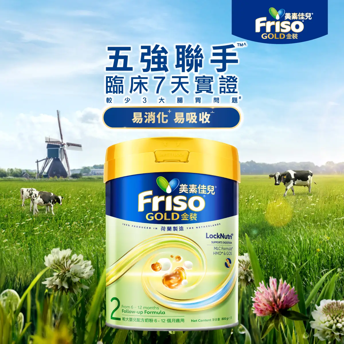 Friso Gold Stage 2 800g