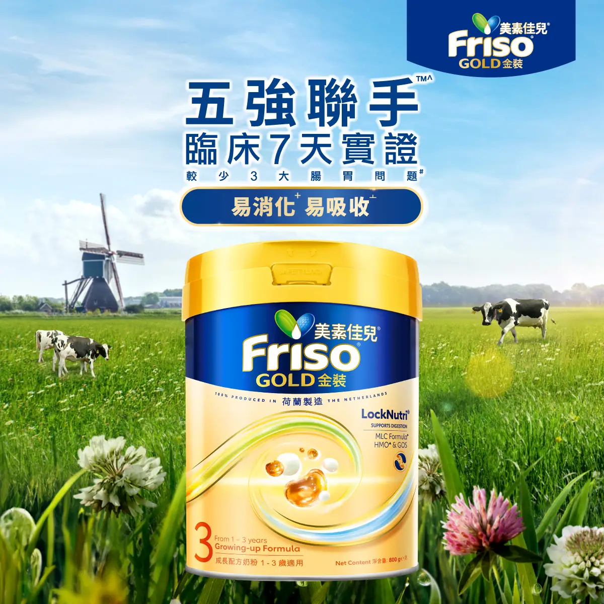 Friso Gold Stage 3 800g