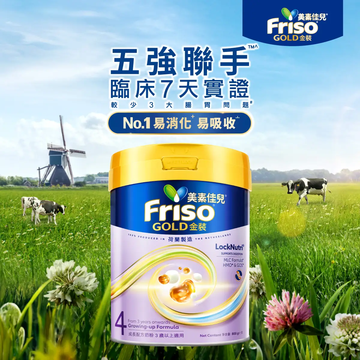 Friso Gold Stage 4 800g