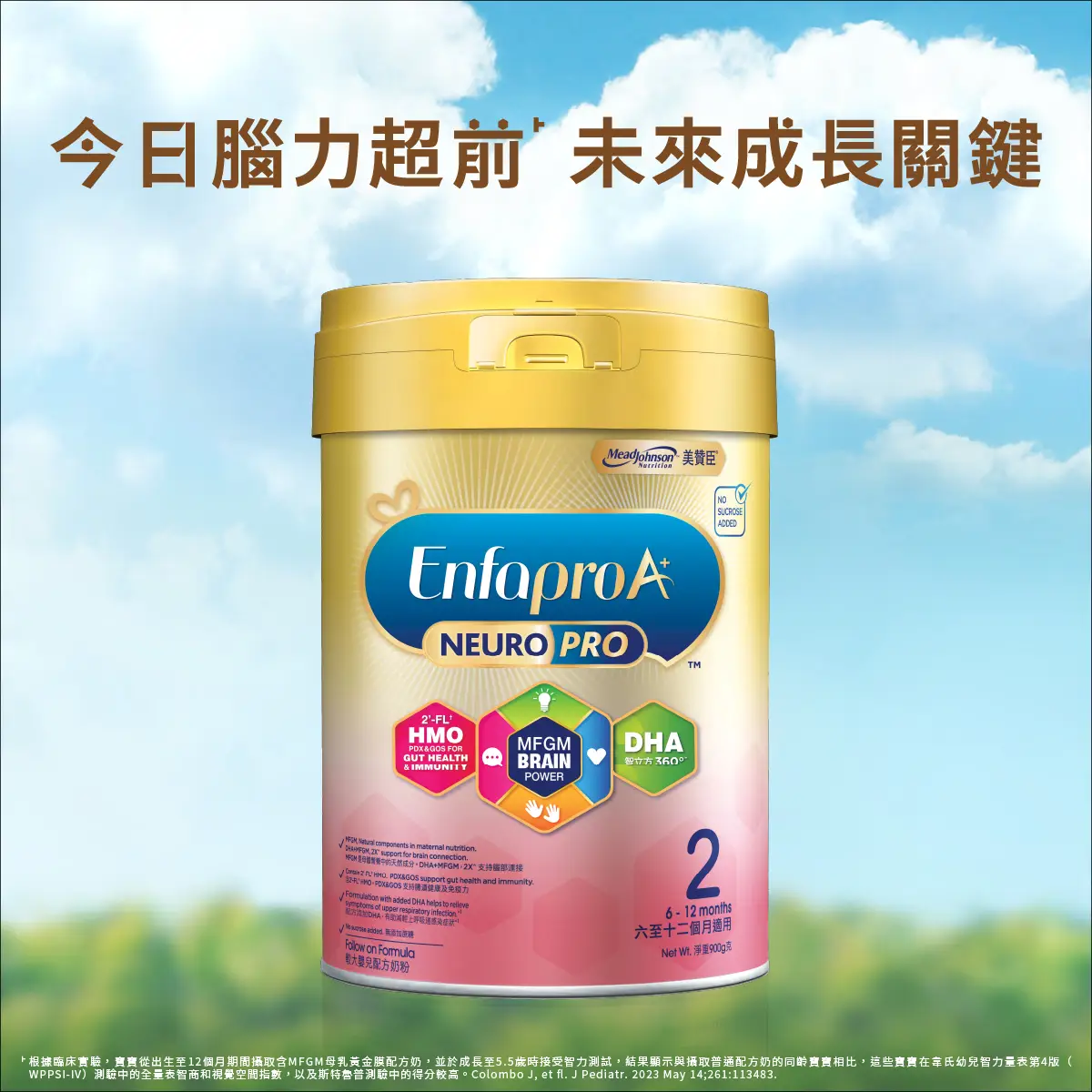 美贊臣ENFA A+智睿系列2號
