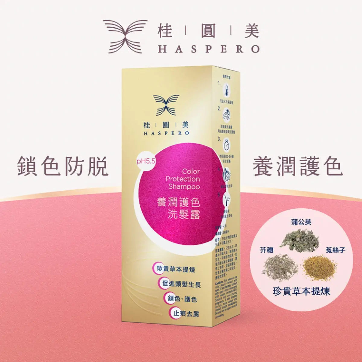 桂圓美養潤護色洗髮露